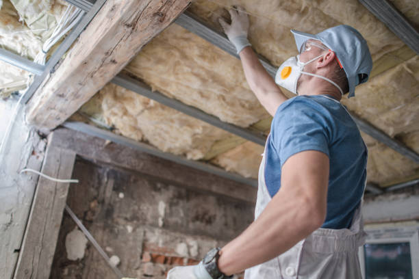Best Spray Foam Insulation in Wayland, IA