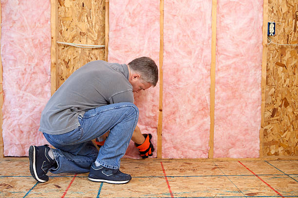 Best Insulation Maintenance and Repair in Wayland, IA