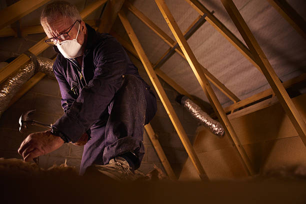 Best Cellulose Insulation in Wayland, IA