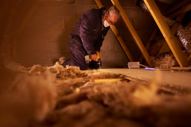 Types of Insulation We Offer in Wayland, IA